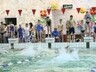 Сегодня в Черемушках стартует Чемпионат Хакасии по плаванию