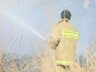 Сегодня утром в Черемушках полностью сгорел дачный домик