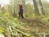 В Саяногорске пройдет школьный туристический слет