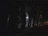Госавтоинспекция Саяногорска просит помощи у горожан