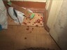 Житель Саяногорска погиб от удара ножом в сердце