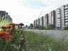 Саяногорск готовится к новым выборам