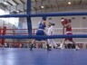 Сегодня в Саяногорске стартовало Первенство СФО по боксу
