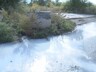 Саяногорск заливают молочные стоки