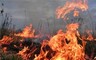 Лесной пожар в районе Саяногорска потушили оперативно