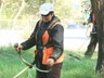 В Саяногорске продолжается массовое истребление травы