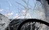 На трассе под Саяногорском Toyota Camry сбила лошадь