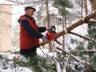 В Черемушках ликвидируют последствия сильного ветра