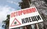 Почти 2 тысячи жителей Хакасии с начала сезона пострадали от укусов клещей