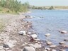Купание на карьере – безопасно