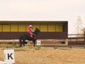Саяногорск примет Первые открытые республиканские соревнования по адаптивному конному спорту