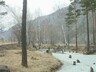 Спортсмены по лыжным гонкам пришли к финишу первыми