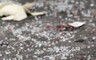 В страшном ДТП под Саяногорском погибли три молодых человека