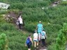 Парк «Ергаки» ужесточил правила для туристов после нападения медведя на саяногорцев