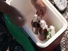 Купаться не рекомендуется!