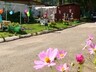 Продолжается прием заявок на конкурс «Красота своими руками»