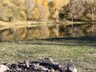 Берег Енисея стал чище