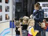 Фотовыставку к 25-летию МЧС экспонируют во дворце молодежи Абакана