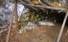 Нарушитель задержан с поличным
