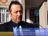 Самовольная вырубка деревьев запрещена