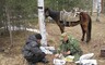 В Саяно-Шушенском заповеднике браконьер напал на инспектора