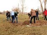 В Саяногорске прошел масштабный субботник