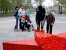 Тысячей гвоздик расцвела в Саяногорске «Звезда Героев»