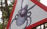В Хакасии растет число заболевших энцефалитом