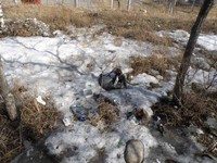 Саяногорск Инфо - Присоединённое изображение