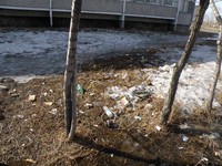 Саяногорск Инфо - Присоединённое изображение