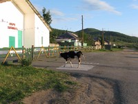 Саяногорск Инфо - Присоединённое изображение