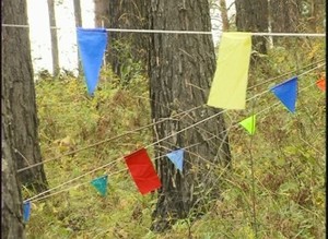 В Саяногорске пройдет "Золотая осень"