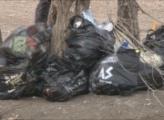 В Саяногорске стартовал двухмесячник по благоустройству и озеленению
