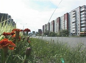 Центр занятости Саяногорска приглашает работодателей