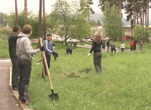 В парке поселка Черемушки высадили саженцы молодых дубов