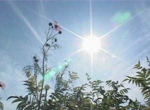 В Саяногорск пришла аномальная жара