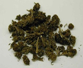 Девушка из Саяногорска везла в чемодане почти килограмм наркотиков