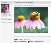 Саяногорск Инфо - Присоединённое изображение