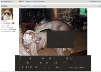 Саяногорск Инфо - Присоединённое изображение