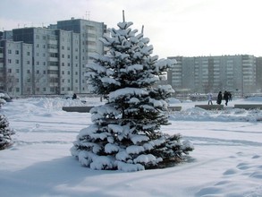 Стартовал конкурс "Новогодний Саяногорск"