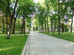 Парк активного отдыха построят в Саяногорске