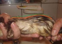 Саяногорск Инфо - Присоединённое изображение