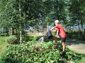 Более тысячи школьников Хакасии минувшим летом прошли "трудовое крещение"