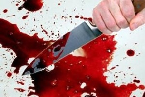 В Саяногорске осуждена местная жительница устроившая кровавую резню