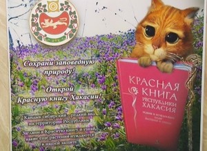 «Саяногорские встречи» объединили борцов за экологию