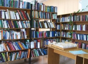 Библиотекари взялись за профилактику подростковой преступности