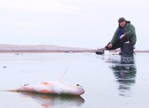 Спасатели: безопасность должна быть превыше любви к подледному лову