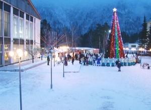 Новогодняя елка зажглась и в Черемушках