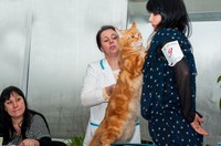 Саяногорск Инфо - Присоединённое изображение