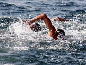 Саяногорские моржи проплывут по Енисею 122 км
